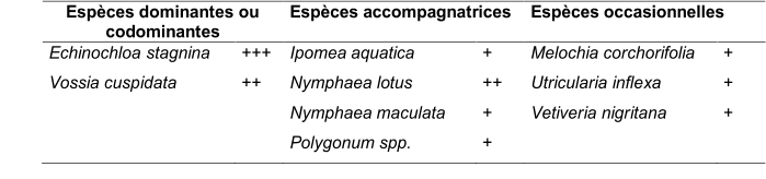 Espèces dominantes ou  codominantes   Espèces accompagnatrices   Espèces occasionnelles   Echinochloa   stagnina   +++   Ipomea aquatica   +   Melochia corchorifolia   +   Vossia cuspidata   ++   Nymphaea lotus   ++   Utricularia inflexa   +       Nymphaea maculata   +   Vetiveria  nigritana   +       Polygonum spp.   +